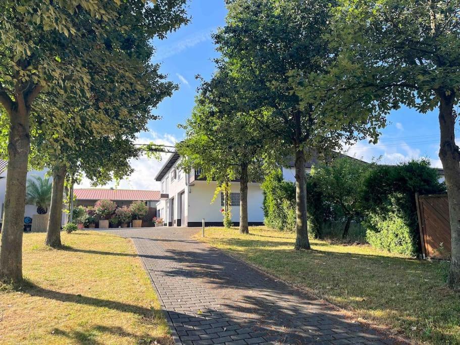 Apartment 100 Qm Im Weindorf - Balkon/Garage Aspisheim エクステリア 写真